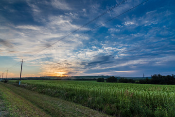 Fototapeta na wymiar sunrise over a field/ dawn, field , Krasnodar region, Russia