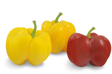 Three peppers Yellow and red  isolated on white background 