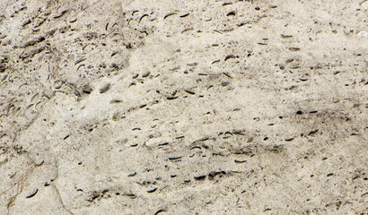 Tuff is a vulcanic stone. most of the historical buildings