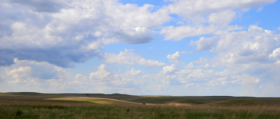 North American Prairie