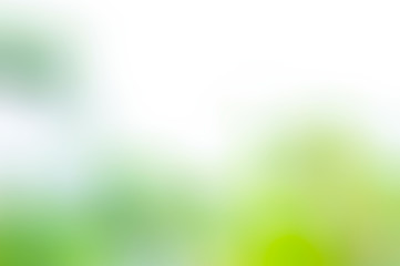 Fototapeta na wymiar background blur style ,summer green blur background style