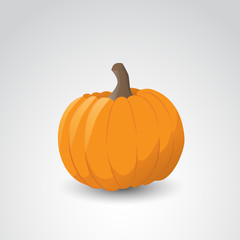 Pumpkin vector art.