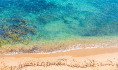 Fototapeta na wymiar Korallen, Riff, Strand und klares Wasser