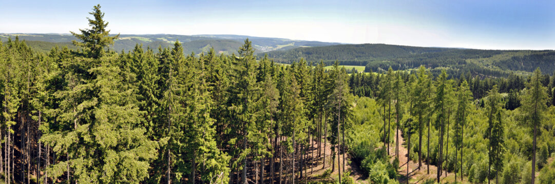 Blick vom Aussichtsturm Th&uuml;ringer Warte