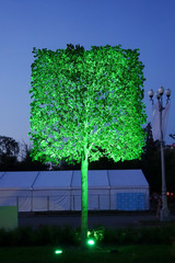 The tree in the evening with illumination
