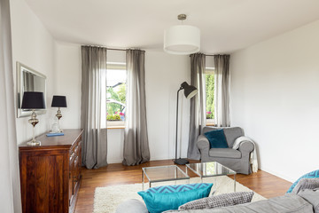 Living room in a good style