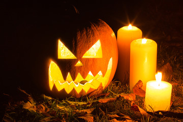 Halloween Pumpkin In A Mystic Forest At Night