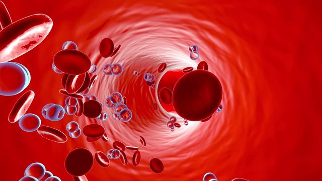 Animation of Oxygen molecules floating in the blood stream with Erythrocytes.	

