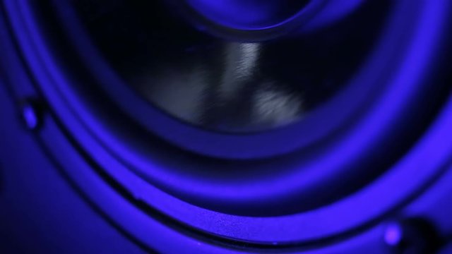 Multimedia system speaker detail