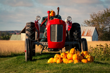 Autumn display