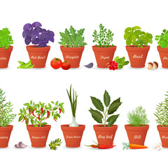 collection seamless borders with vegetables and herbs planted in
