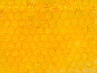 yellow honeycomb cells under fresh honey
