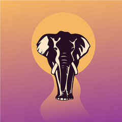 elephant silhouette at sunset