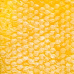 yellow honeycomb with honey