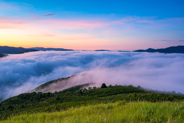 Fog over mountain and forest on sunrise