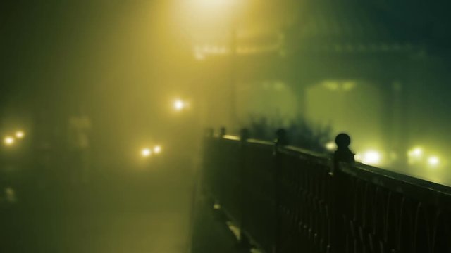 Night. Thick fog. A guy and a girl walking in the park. Slow motion