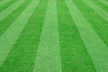 soccer field for background