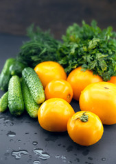 Close up of colorful raw tomatoes, cucumber and herbs 