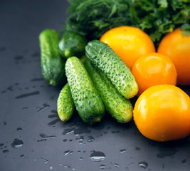 Close up of colorful raw tomatoes, cucumber and herbs 