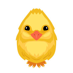 Vector funny cartoon chicken in shape of egg