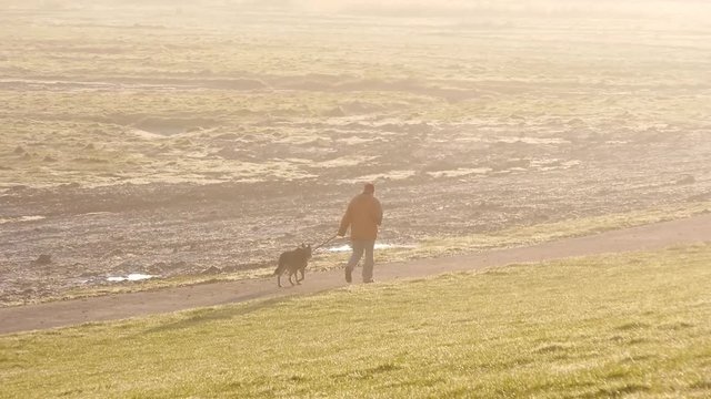 Mann geht am Deich mit Hund spazieren
