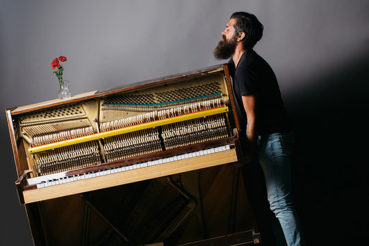 bearded man trying to move wooden piano with rose