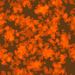 Orange autumn leaves