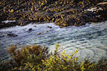 Animals of the Galapagos