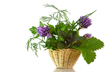 Fresh herbs in the basket isolated on white
