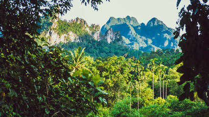 Hill Covered by Jungle in Khao Sok, Suratani, Thailand