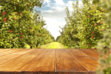 wooden table and trees of apples 