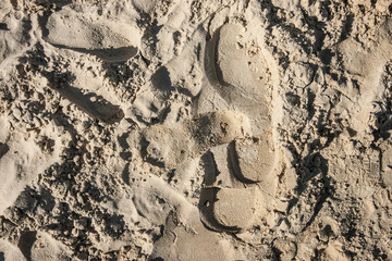 Beach sand and footsteps