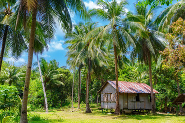Rural tropical landscape. Bamboo hut surrounded by palm forest. - obrazy, fototapety, plakaty