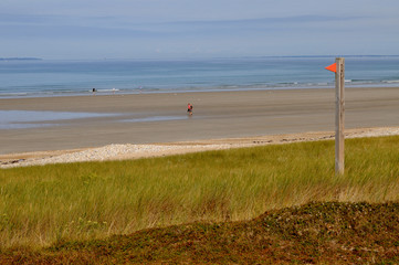 panneau