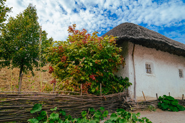 Fototapeta na wymiar old ukrainian house