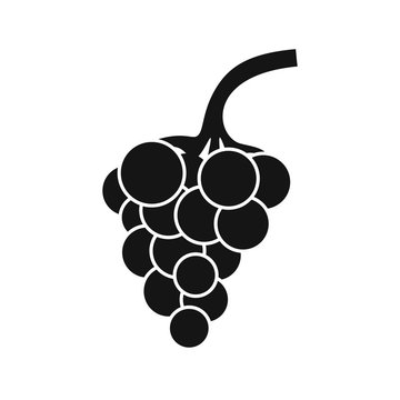 Grape branch icon in simple style on a white background vector illustration