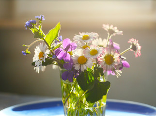 Gänseblümchen (Bellis perennis) - Heilpflanze des Jahres 2017, Strauß eßbarer Kräuter, Margritli, Kleine Margerite und Veilchen © Annett Seidler