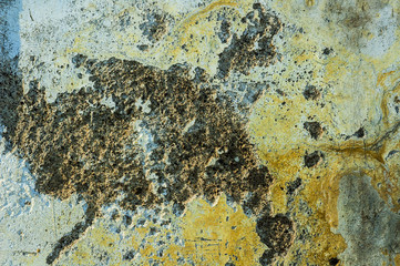 Old brick wall background