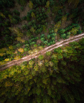 Beautiful picture of the road in the lush green coniferous forest. Aerial view. From above. Picture taken using the copter.