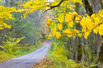 Long countryside road