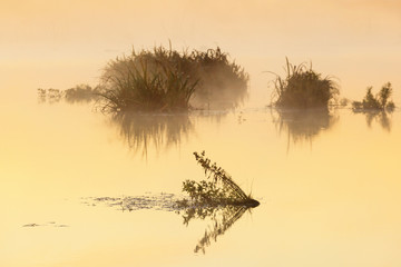 Sunrise silhouettes
