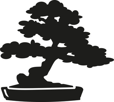 Bonsai Tree silhouette