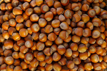Stack of hazelnuts. Hazelnut background