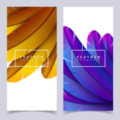 Colorful feather banners set. Beautiful bird feathers composition. Eps10 vector illustration.