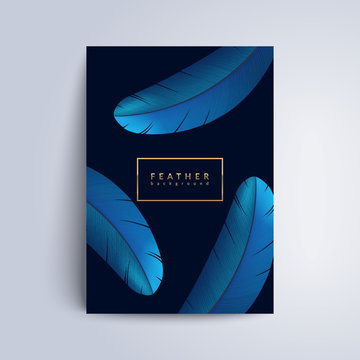 Blue feather cover design. Exotic bird feathers composition on dark background.Applicable for Covers, Voucher, Posters, Flyers and Banner Designs. Eps10 vector illustration.