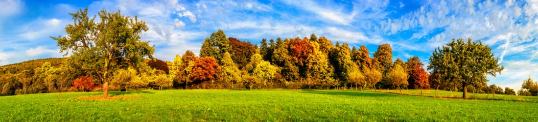 Papier Peint photo Lavable Panoramique Prairie aux arbres colorés et ciel bleu en automne, panorama