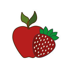 red apple and strawberry. healthy fruit food . vector illustration