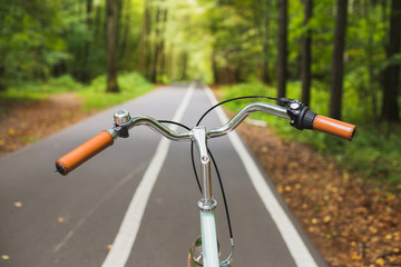 Fototapeta na wymiar Bike handlbar on the road in autumn forest