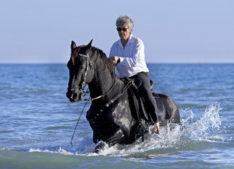 horsewoman in the sea