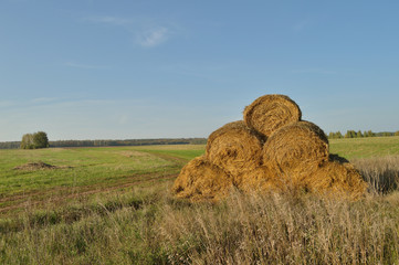 haystack